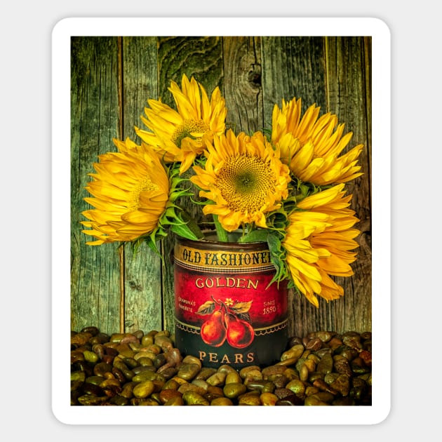 Sunflowers In A Painted Pot Sticker by jecphotography